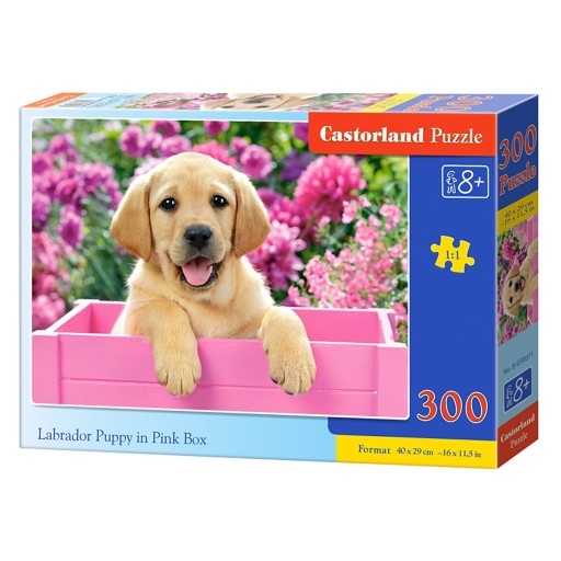 Puzzle 300 Labrador v krabici Castorland B-030071