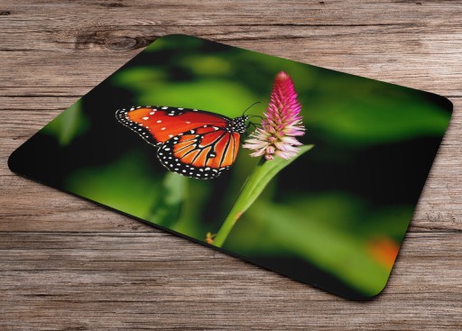 BUTTERFLY BUTERFLY podložka pod myš