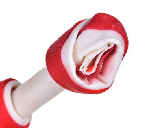 BONE BONE MACED BACON 16 cm 1 ks