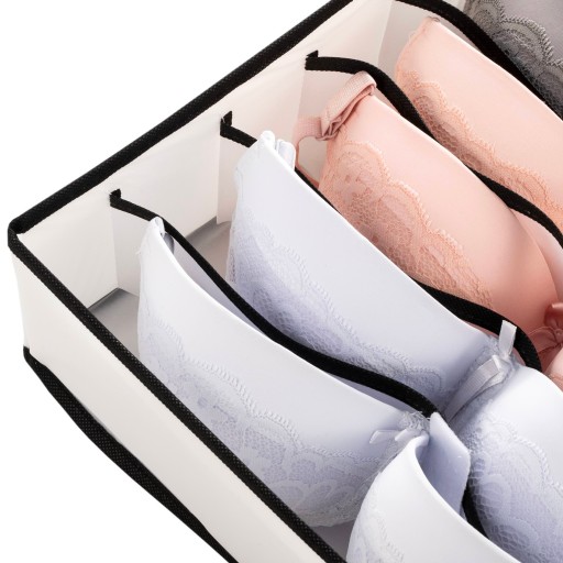 ORGANIZÁTOR ZÁSUVKY SKRIŇKY NA SPODNÉ PRÁDLO PODPRSENKU