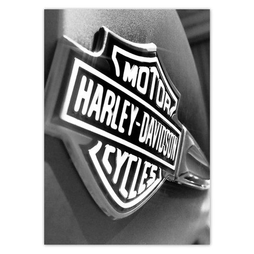 Nálepky A5 PION s logom Harley Davidson