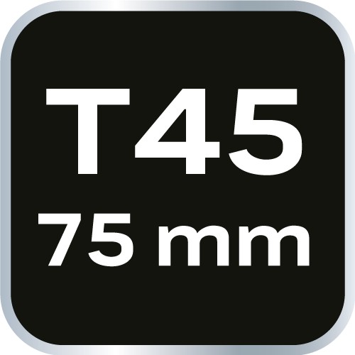 Bit TORX T45 x 75 mm, S2 x 2 ks, NEO 10-944