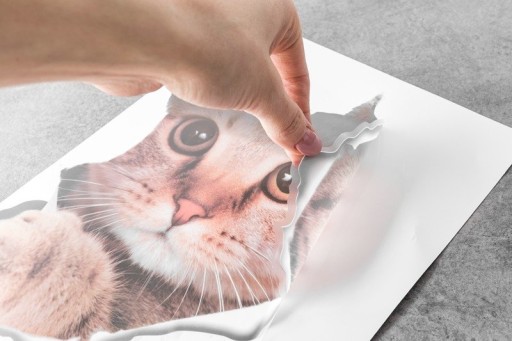 3D nálepka CAT