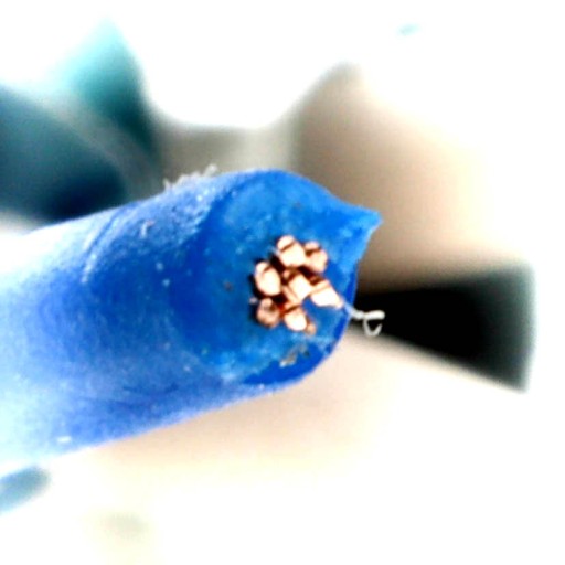 Telegartner krútený pár Ethernet kábel čierny CAT/7 S/FTP 1m