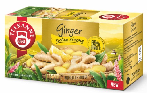 TEEKANNE Fruit 20 tb zázvor extra silný