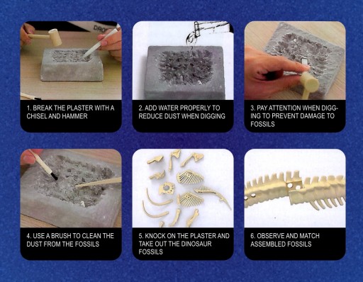 ARCHEOLÓG VYKOPÁVANIE KOSTRA DINOSAURA 3D HRAČKA DARČEK MINE EDU