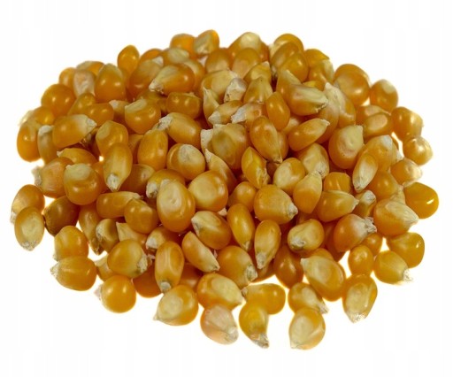 POPCORN kukuričné zrno 500g