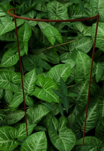 Podpera pre hortenzie, rastliny, kvety, pergola, 30/50 cm, podpery pre monstera ruže