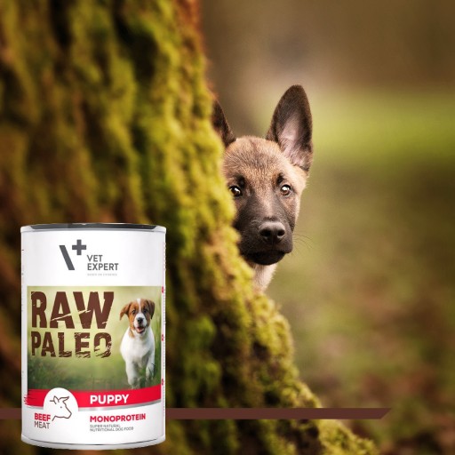 Monoproteínové mokré krmivo pre šteňatá s hovädzím mäsom Raw Paleo Puppy 400g