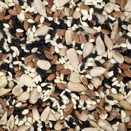 CHLEBOVÁ ZMES zrná semená 500g čierna rasca