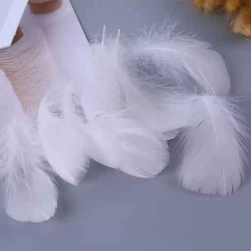 Pierka ozdobné ozdobné biele pierka DIY 190 ks 12g