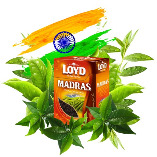 Pikantný indický čierny listový čaj Madras Premium Leaves 100g LOYD