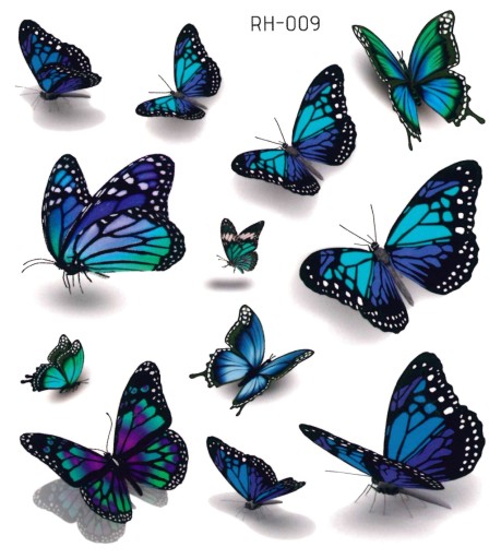 Odnímateľné tetovanie pre deti BUTTERFLIES RH009