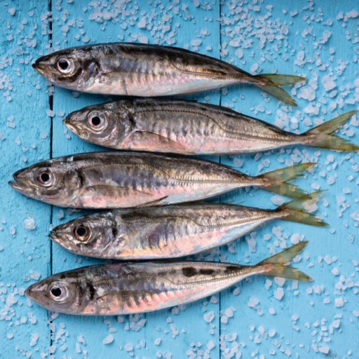 Primal Spirit IBERIAN SARDINE krmivo pre psov PORK SARDINES 1kg