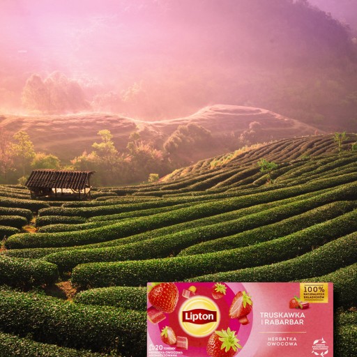 Lipton ovocný expresný čaj Jahoda a Rebarbora 20 sáčkov, 32g