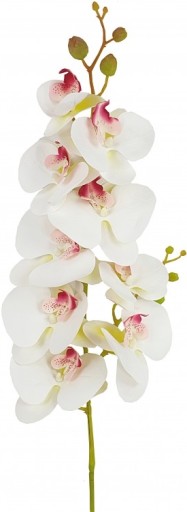 ORCHIDEA ORCHIDOVÁ ODBOR 9 KVETOV 100cm GUM
