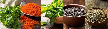 BYLINKOVÁ PAPRIKA prírodná zmes 100g ECOBI