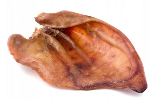 EKOLOGICKÝ POKLAD PRE PSOV KING XXL BRAVČOVÉ UCHO