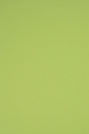 Farebný papier Bristol 230g R74 zelený - 10A3