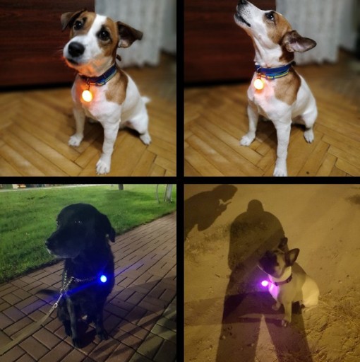LED LAMPA na obojok PSA, PRÍVESEK