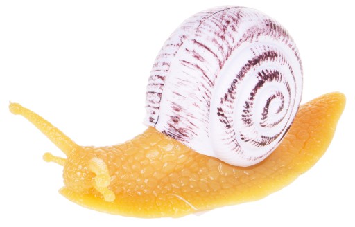 Gumový slimák 12g