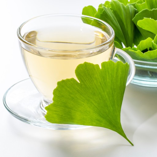 Ginkgo biloba zanecháva 100% PAMÄŤOVÝ OBEH