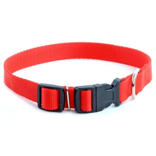 DINO Obojok PRE MALÉHO PSA RED TAPE 13mm/37cm
