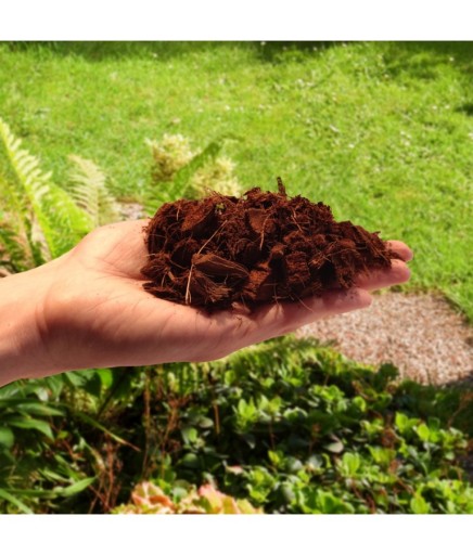 Sypané kokosové lupienky Coco chips 5l