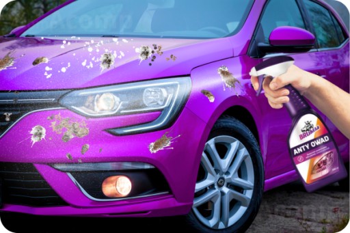 BRUMM prípravok na odstraňovanie vtáčieho trusu, trusu a hmyzu, leští farby