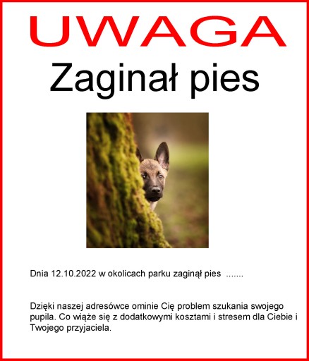 IDENTIFIKÁTOR s gravírovanou adresou pre psa