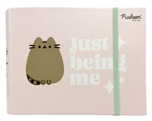 64K Pusheen špirálový notebook