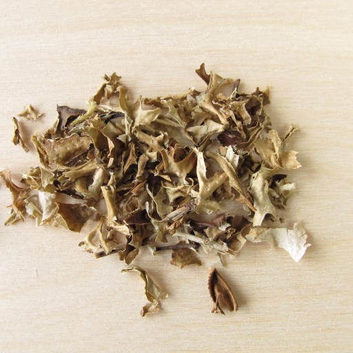 ISLAND LICHEN 100% sušený bylinný nálev NA KAŠEL