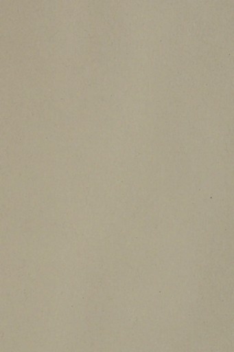 Farebný papier Bristol 250g šedý - 10SRA3