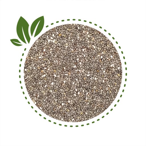 CHIA SEMIENKA ŠPANIELSKOU ŠALVI 250g