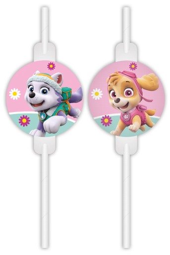 Papierové slamky s medailónom Paw Patrol Skye Psi
