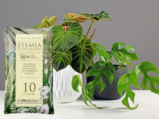 PREMIUM PÔDA pre rastliny v črepníkoch MONSTERY PALM JUK ZAMIOKULKASA 10L