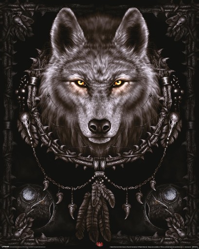 Plagát na stenu Spiral Wolf Dreams Wolf 40x50 cm