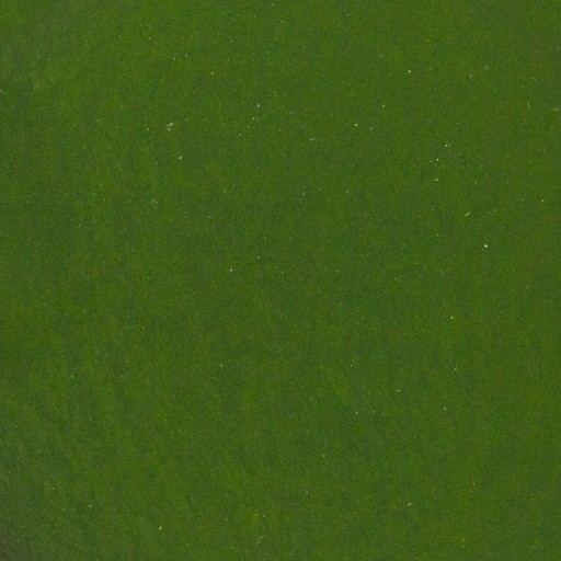 Spirulina POWDER 250g anémia, imunita