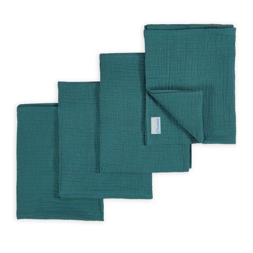 PLIENKY PLIENKY MUSLÍNOVÉ PLIENKY 1 ks. 25x30