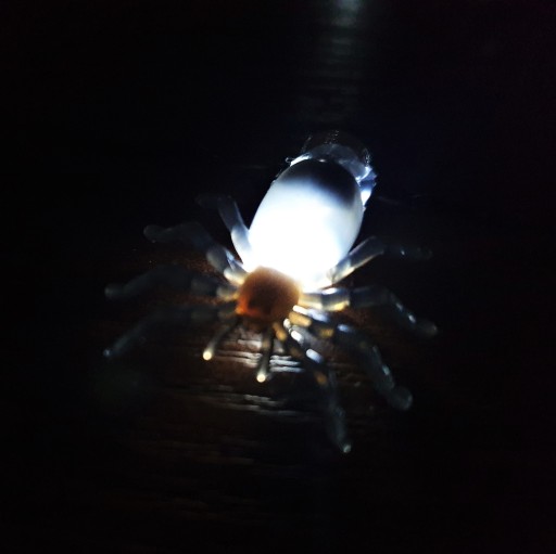 SPIDER LED HALLOWEENOVÁ DEKORÁCIA SVIETIACI NÁHRDELNÍK SPIDER OZDOBA