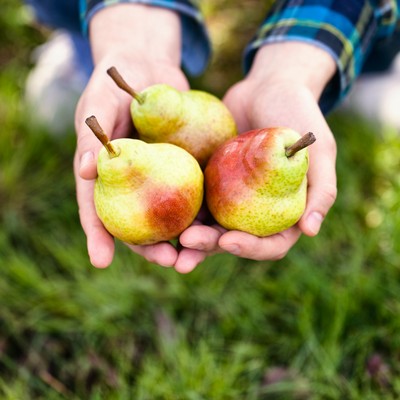 Owolovo jablková hrušková pena HRUŠKA Premium 200g