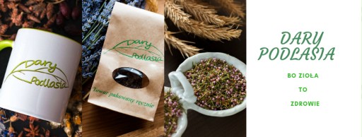 Sušený prírodný ananás - 100g - Dary Podlasie