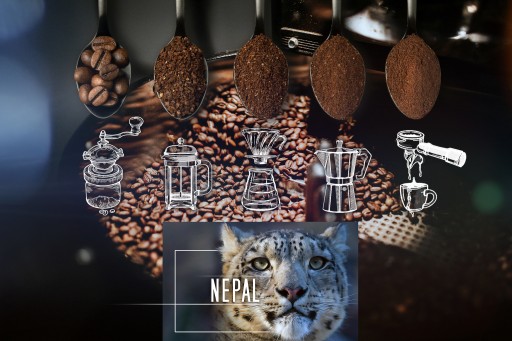 Čerstvo pražené kávové zrná 100% Arabica Nepál 50G pre kávovar na espresso