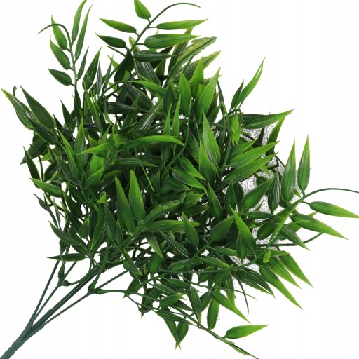 RUSCUS BOUQUET HRUBÉ KONÁRE ZELENÝ PRÍDAJ DO KYTICOVÝCH KRÉMOV