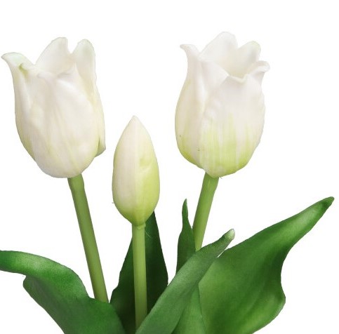 TULIPANY TULIPSKY KYTICE GUMA POTAŽENÁ GUMA AKO ŽIVÁ