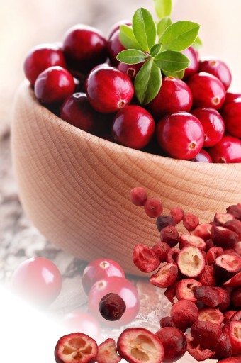 BRUSNICE SUŠENÉ MRAZOM, REZANÉ 20 g, sušené, prírodné, BEZ CUKRU, 0,02 kg