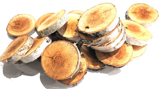 DREVA DREVA, KOTOUČ BREZA PEČIATKY, 9-14CM, 1KS