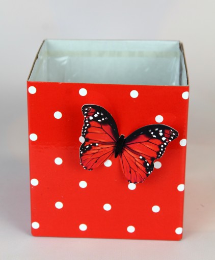 Flower Box Box so štvorcovým motýľom