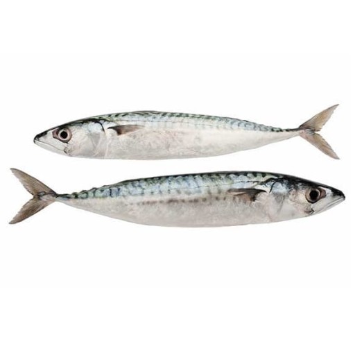 Pikantný šalát s makrelou 300g KIER
