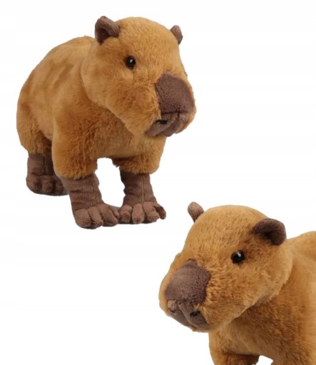 PLYŠOVÁ HRAČKA CAPYBARA MASKOT CAPYBARA PRE DETI 20CM